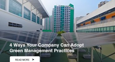4 Ways Your Company Can Adopt Green Management Practices