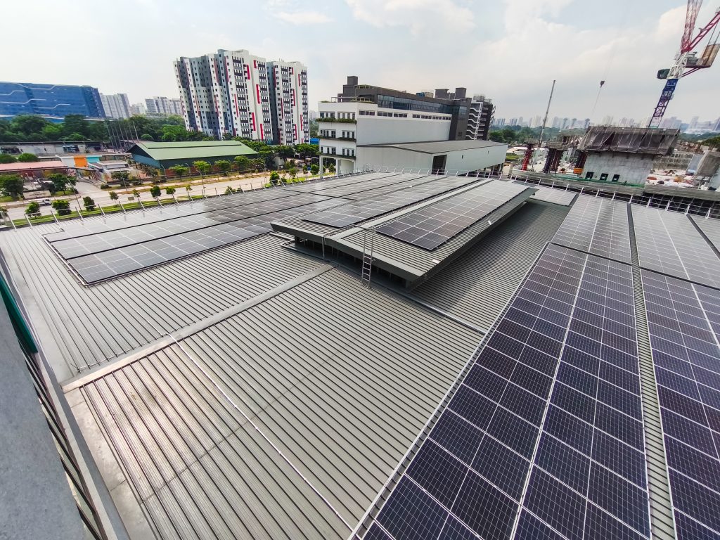 IMG_20250528_151617-2