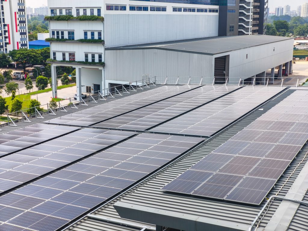 IMG_20250528_151646-2