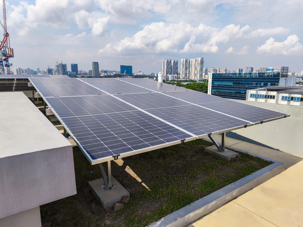 IMG_20250528_154953-2