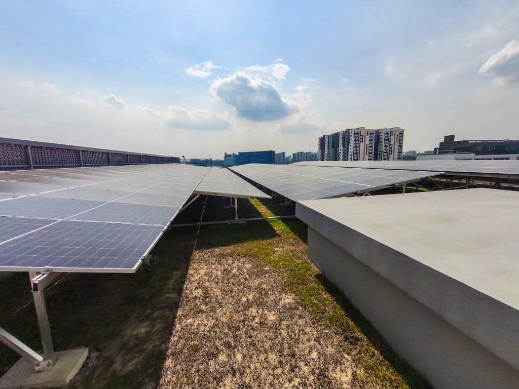 IMG_20250528_154959-2